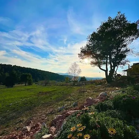 το σπίτι στο δάσος Horská chata Mazaraiika