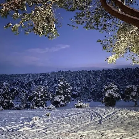 το σπίτι στο δάσος *